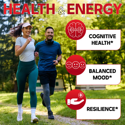 DEDICAD 9in1 Cortisol Supplement - Ashwagandha and Magnesium Glycinate and Chelate - Brain Health & Restful Night & Mood Balance - 90 Capsules Supply 45 Days DEDICADBuy Supplements Australia