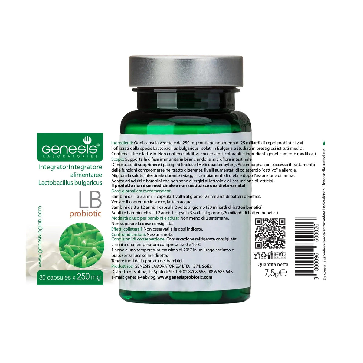 Probiotic Lactobacillus Supplement 30 Capsules with Lactobacillus Bulgaricus 250 mg Probiotic Digestive Immune Support Gut Health Probiotics for Digestive Health Anti Bloating Genesis LABORATORIES buy supplements Au