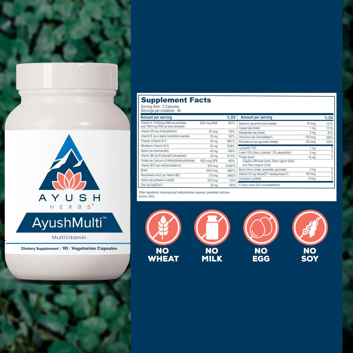Ayush Herbs Ayush Multi - Multi Vitamin Capsules, Multivitamin with Iodine & Zinc for Men & Women Ayush Herbs