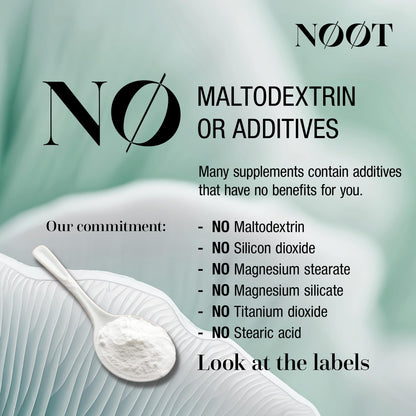 NOOT Menopause Harmony - Menopause Supplements for Women, Night Sweats & Hot Flash Relief, Hormone Balance for Women with Aguaje Fruit, Genistein and Vitex, Biohacking & Nootropics, 60 Capsules NØØTBuy Supplements Australia