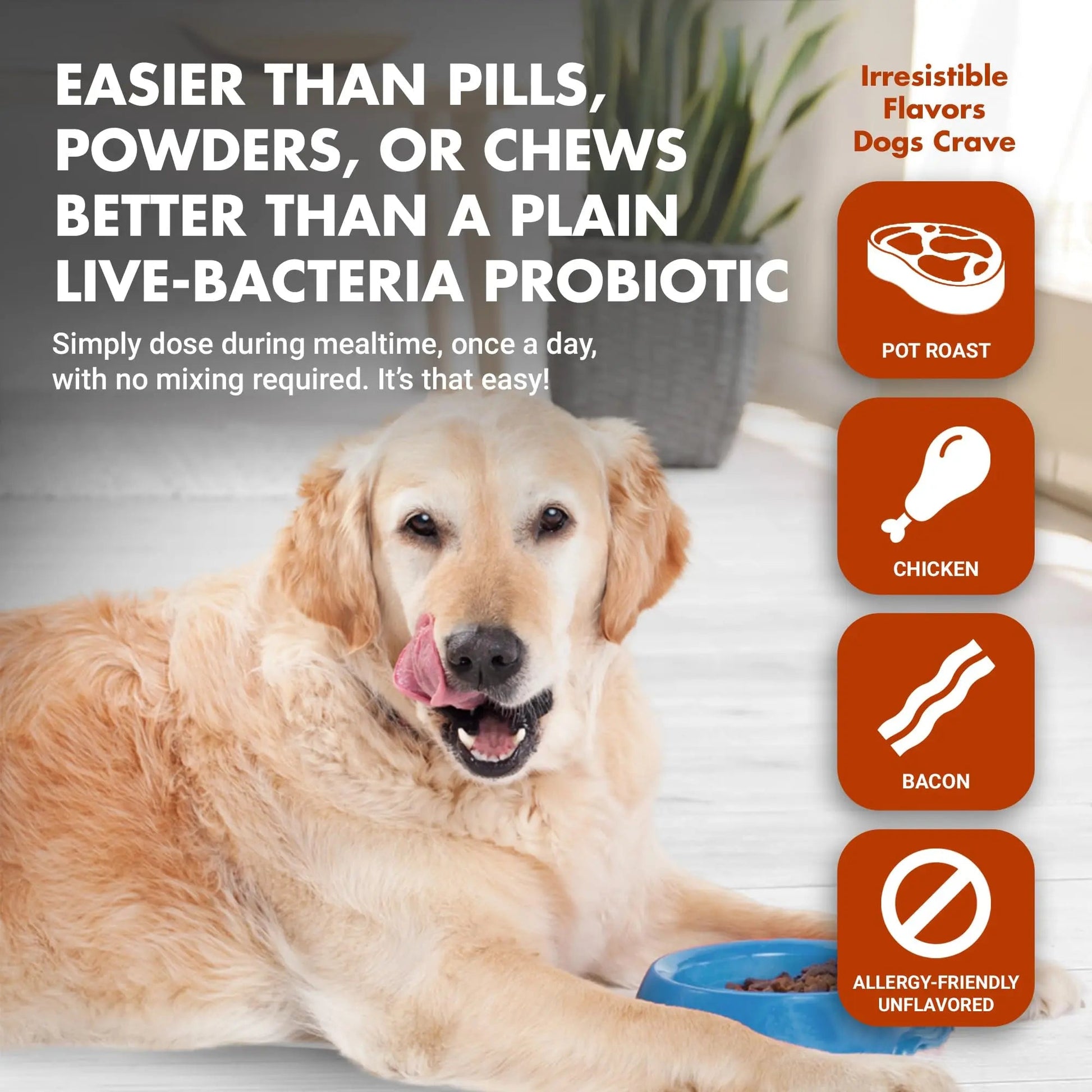 Pre & PostBiotic Support for Dogs – Digestive Upset, Stool Quality & Sensitive Stomach Support – Easy Liquid Formula for Picky Eaters LIQUID-VETBuy Supplements Australia