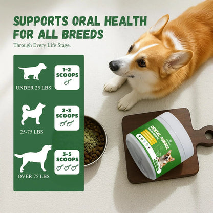 Vetriuntrix Dog Dental Powder, Dental Powder for Dogs Teeth Cleaning and Breath Fresh, Dog Teeth Cleaning Powder with Natural Plants Ingredients and Postbiotics, 200g VetriuntrixBuy Supplements Australia