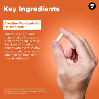 Vital Vitamins Creatine Monohydrate Pills for Women & Men - Micronized Creatine Capsules - Cognitive, Strength, Recovery Support - 3g (3000mg) per Serving - Vegan, Non-GMO, 120 Count Vital VitaminsBuy Supplements Australia