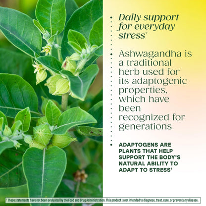 MegaFood Ashwagandha Complex (Formerly Stress Protect) - Ashwagandha Supplements Astragalus Root & Holy Basil - Vegetarian, Gluten Free, Cortisol Supplement - 60 Mini Tablets, 30 Servings MegaFoodBuy Supplements Australia