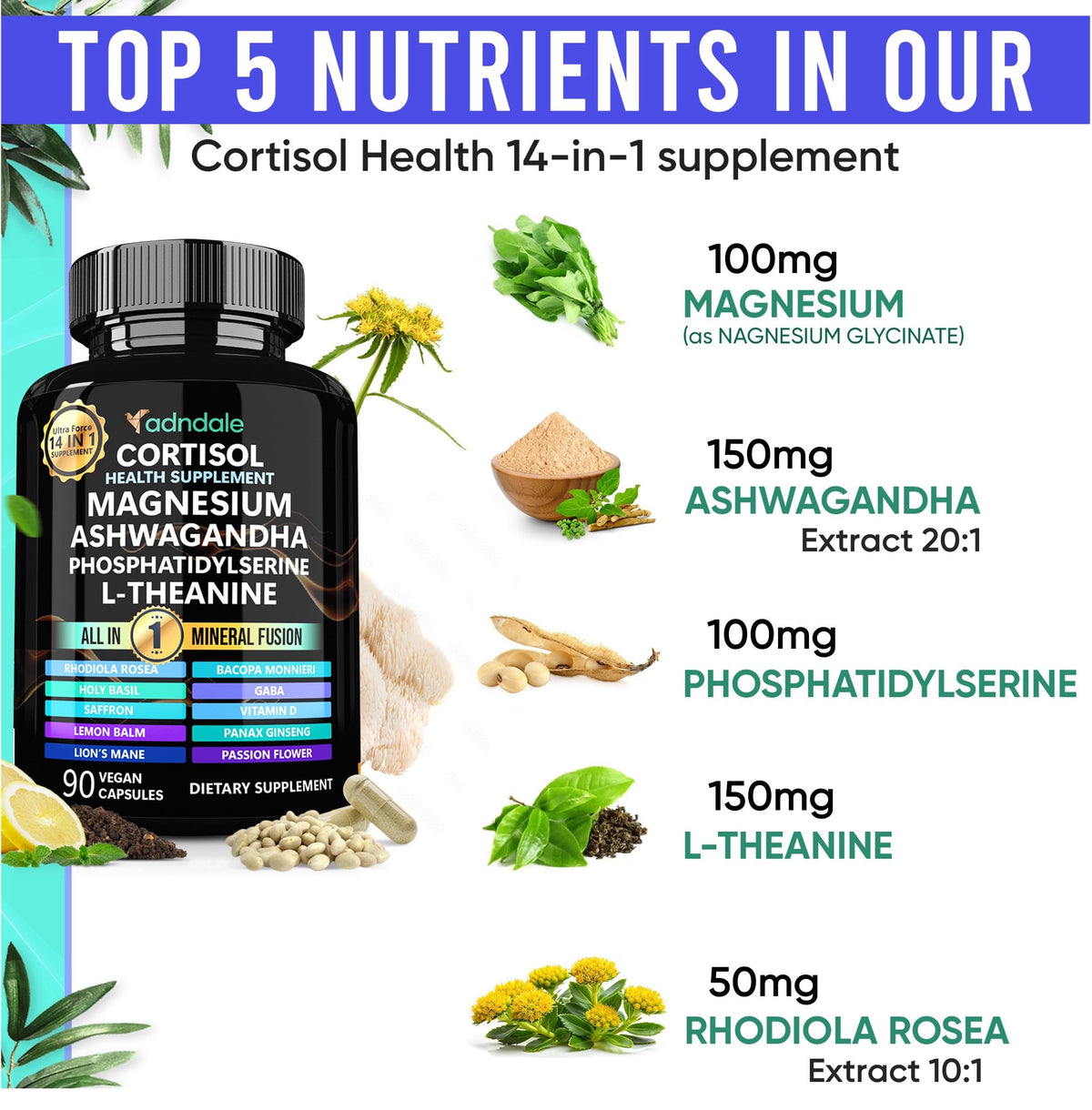 Adndale Cortisol Supplements for Women. Cortisol Reducer 14-in-1 Ashwagandha Supplement with Magnesium Glycinate, L-Theanine & More. 90 Capsules. AdndaleBuy Supplements Australia