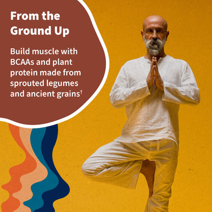 Garden of Life, Organic Vegan Vanilla Chai Protein Powder -22g Complete Plant Based Raw Garden of LifeBuy Supplements Australia
