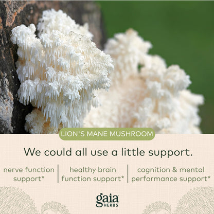 Gaia Herbs Organic Lion’s Mane Mushroom - Brain and Nerve Support Supplement Gaia HerbsBuy Supplements Australia