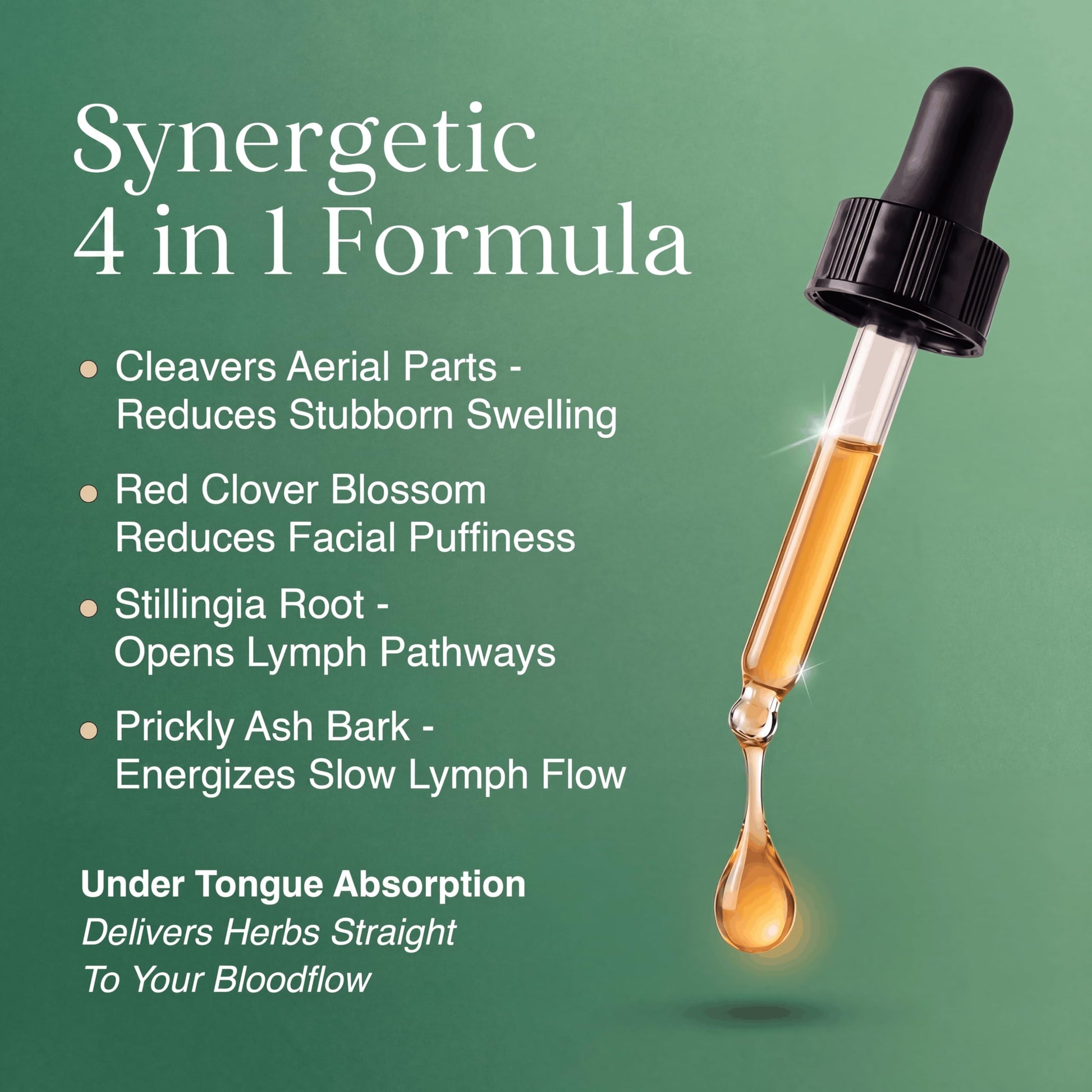 LYMPHORIA Lymphatic Drainage Drops for Bloat Relief & De-Puff – Cleavers, Red Clover, Stillingia Root & Prickly Ash Bark – Lymph Node Detox Cleanse, Fluid Retention – Alcohol-Free, Vegan, 2 Fl Oz LYMPHORIA buy supplements Au