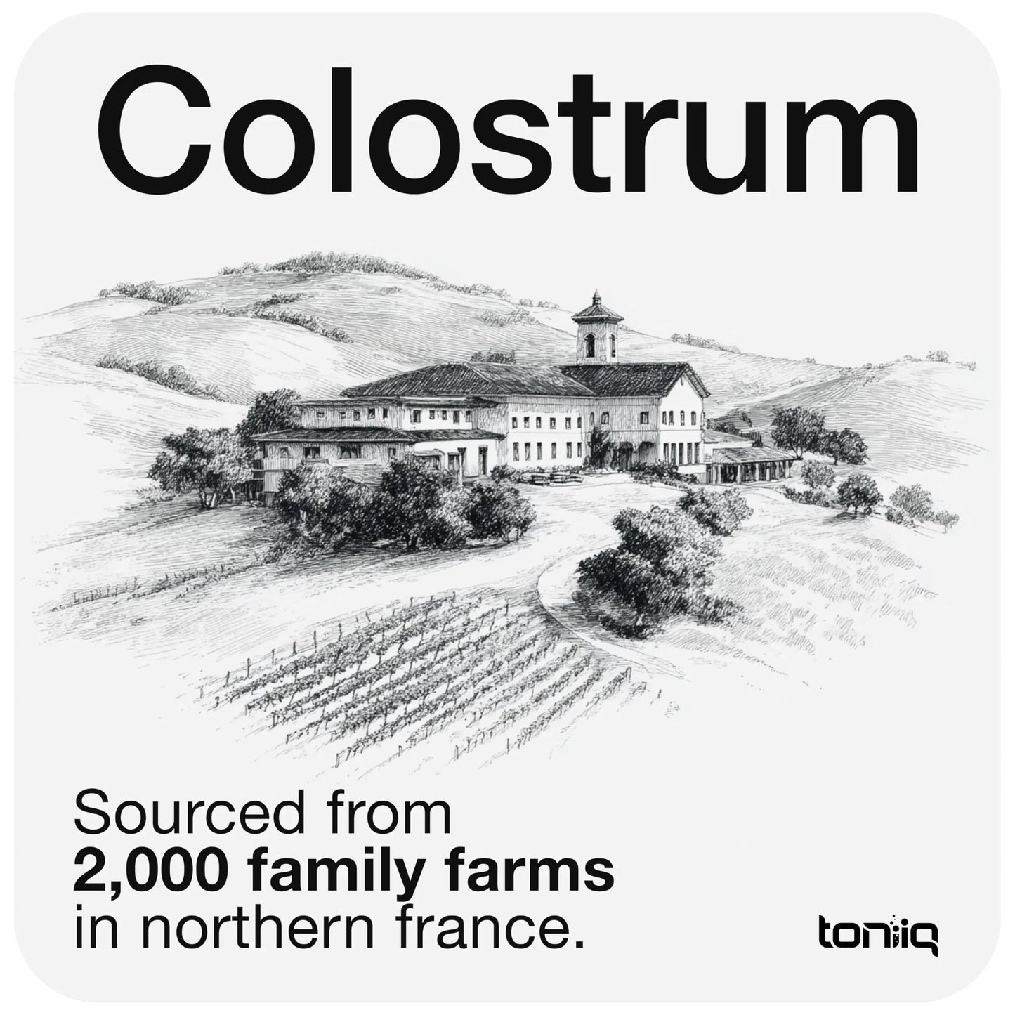 Toniiq Colostrum Powder – Ultra High Potency 50% IgG Concentrate – Farm-to-Jar Traceable French Colostrum – Microfiltered for Purity – Third-Party Lab Verified – 30 Servings Toniiq buy supplements Au