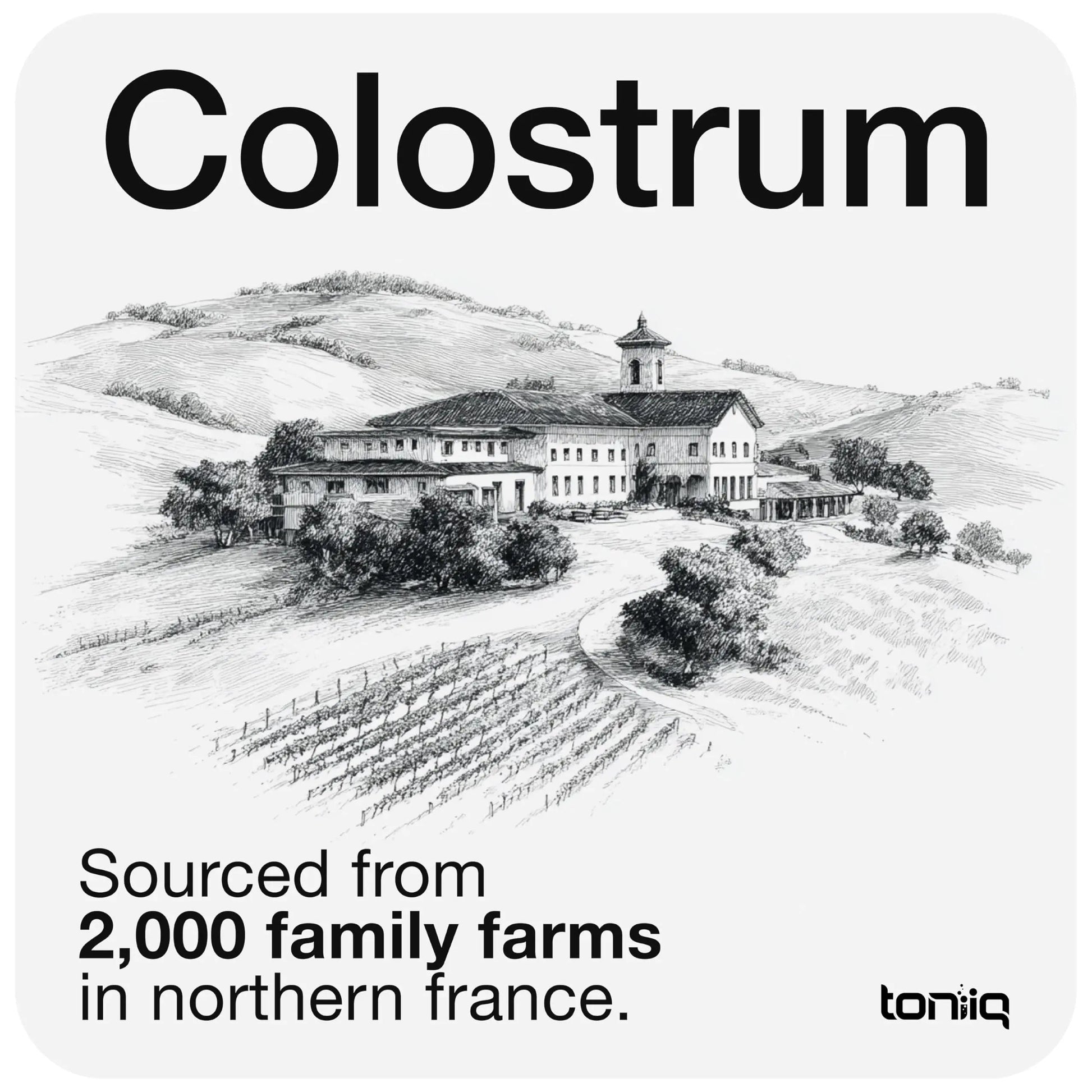Toniiq Colostrum Powder – Ultra High Potency 50% IgG Concentrate – Farm-to-Jar Traceable French Colostrum – Microfiltered for Purity – Third-Party Lab Verified – 30 Servings Toniiq buy supplements Au
