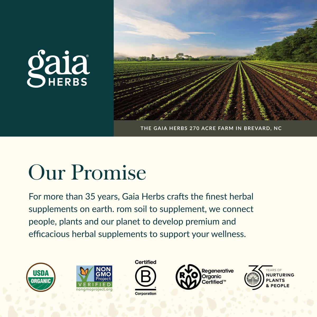 Gaia Herbs Organic Ashwagandha Gummies - Stress Support* - Made with Cinnamon & Ginger - Gluten Free & Vegan - 45 Count (15 Servings) Gaia HerbsBuy Supplements Australia