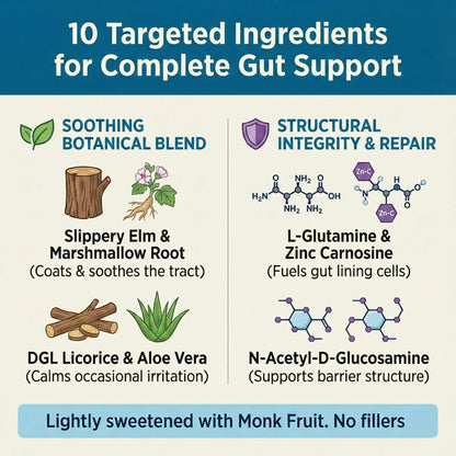 Balance ONE 2-Month Complete Digestive Support Bundle – Intestinal Barrier & Microbiome Kit – Includes 2X RevivaGut Powder & 1x Daily Probiotic (3 Pieces) Balance ONEBuy Supplements Australia