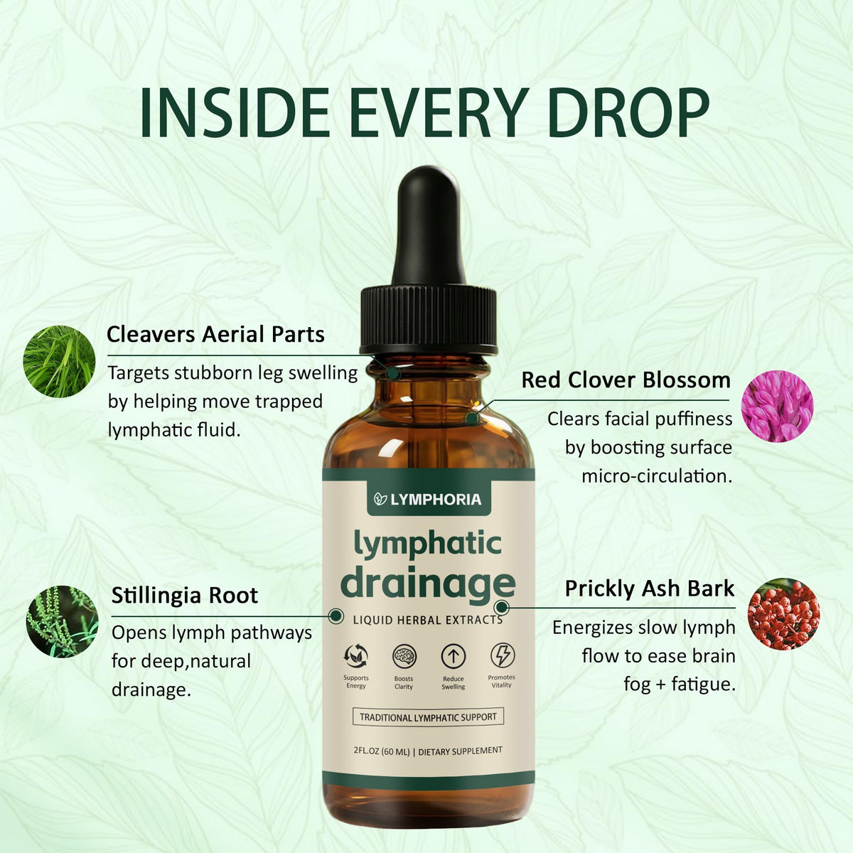 LYMPHORIA Lymphatic Drainage Drops | Promotes The Efficient Drainage of The Lymphatic System to Promote Overall Health LYMPHORIA buy supplements Au