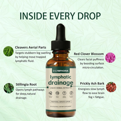 LYMPHORIA Lymphatic Drainage Drops | Promotes The Efficient Drainage of The Lymphatic System to Promote Overall Health LYMPHORIA buy supplements Au