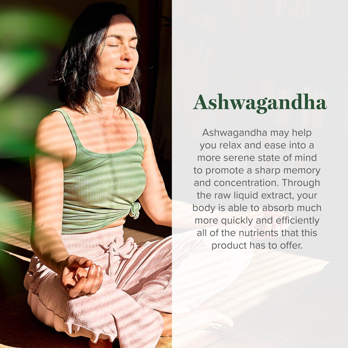 Global Healing Center - Organic Ashwagandha Supplements Drops - KSM-66 Ashwagandha Extra Strength for Men & Women, Helps Promote Relief from Stress, Mood Support, Organic (2 Fl Oz) Global Healing CenterBuy Supplements Australia
