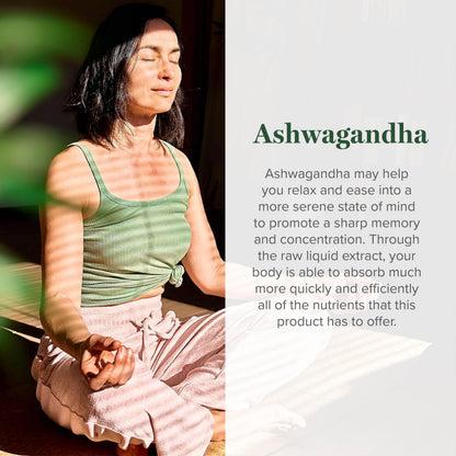 Global Healing Center - Organic Ashwagandha Supplements Drops - KSM-66 Ashwagandha Extra Strength for Men & Women, Helps Promote Relief from Stress, Mood Support, Organic (2 Fl Oz) Global Healing CenterBuy Supplements Australia