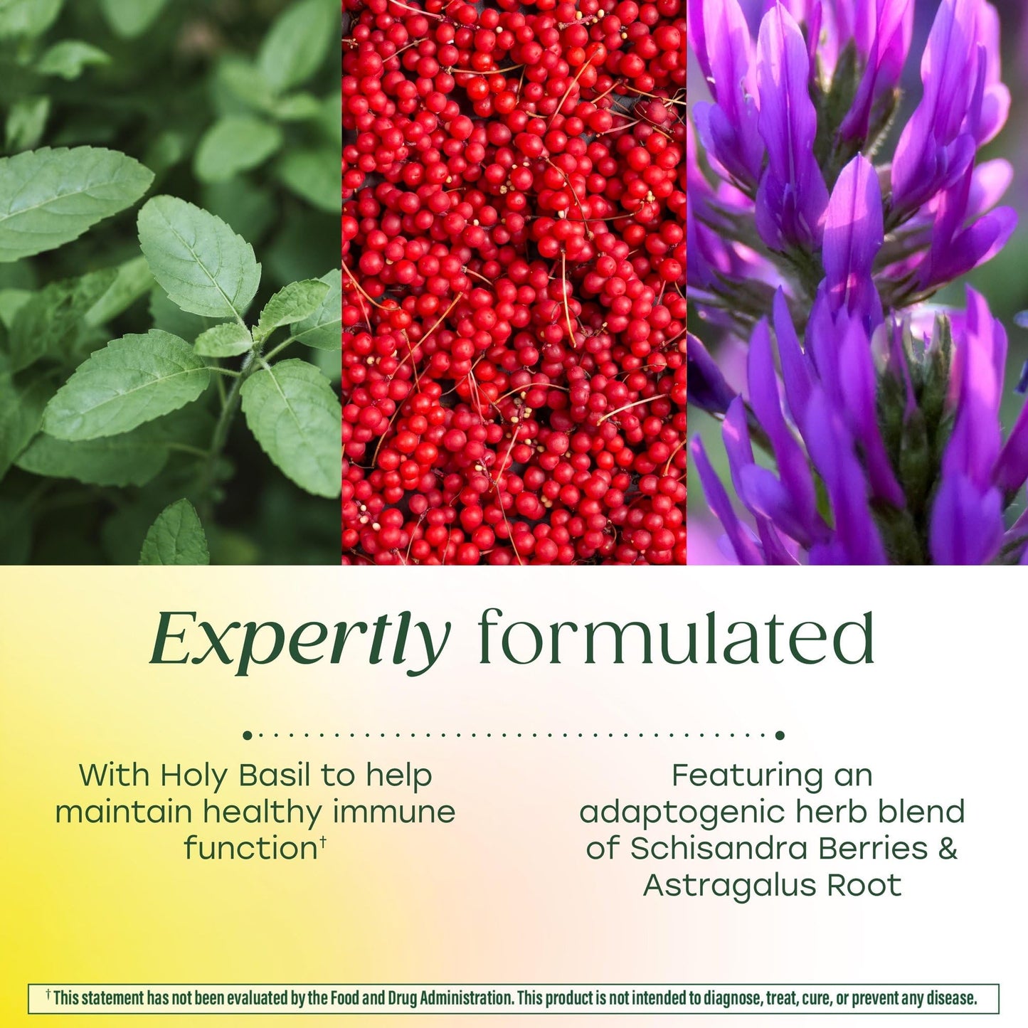 MegaFood Ashwagandha Complex (Formerly Stress Protect) - Ashwagandha Supplements Astragalus Root & Holy Basil - Vegetarian, Gluten Free, Cortisol Supplement - 60 Mini Tablets, 30 Servings MegaFoodBuy Supplements Australia