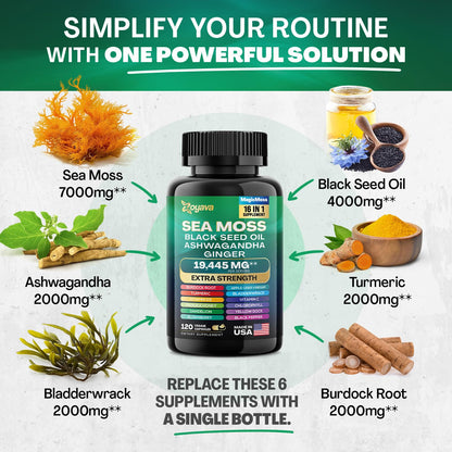 Zoyava Sea Moss 7000mg Black Seed Oil 4000mg Ashwagandha 2000mg Turmeric ZoyavaBuy Supplements Australia
