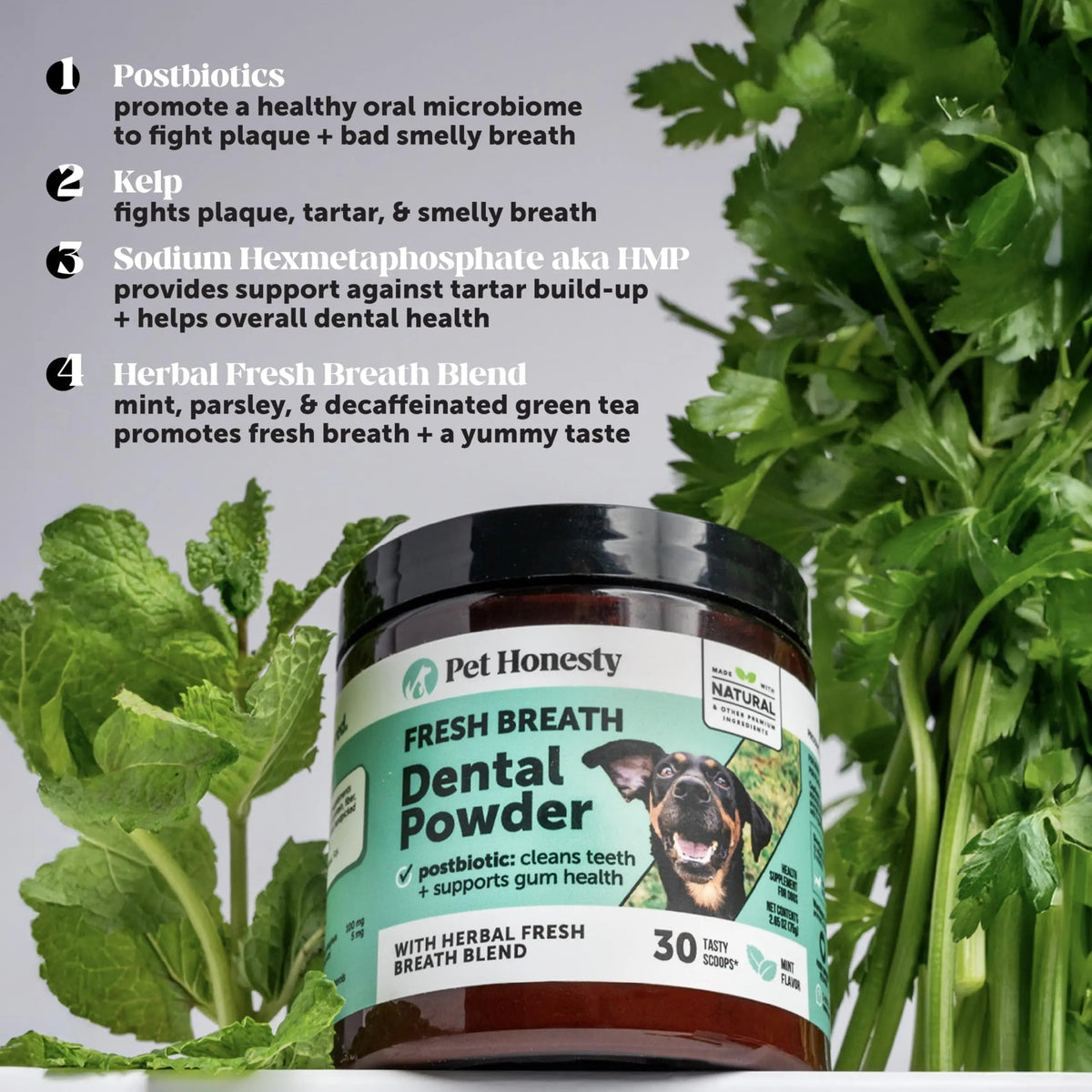 Dog Breath Freshener Dental Powder for Teeth Cleaning Plaque Off, Dental Care for Dogs, Tartar Remover for Teeth with Natural Herbal Blend + Postbiotics (Mint - 30 Servings) Pet HonestyBuy Supplements Australia