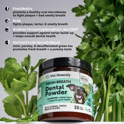 Dog Breath Freshener Dental Powder for Teeth Cleaning Plaque Off, Dental Care for Dogs, Tartar Remover for Teeth with Natural Herbal Blend + Postbiotics (Mint - 30 Servings) Pet HonestyBuy Supplements Australia