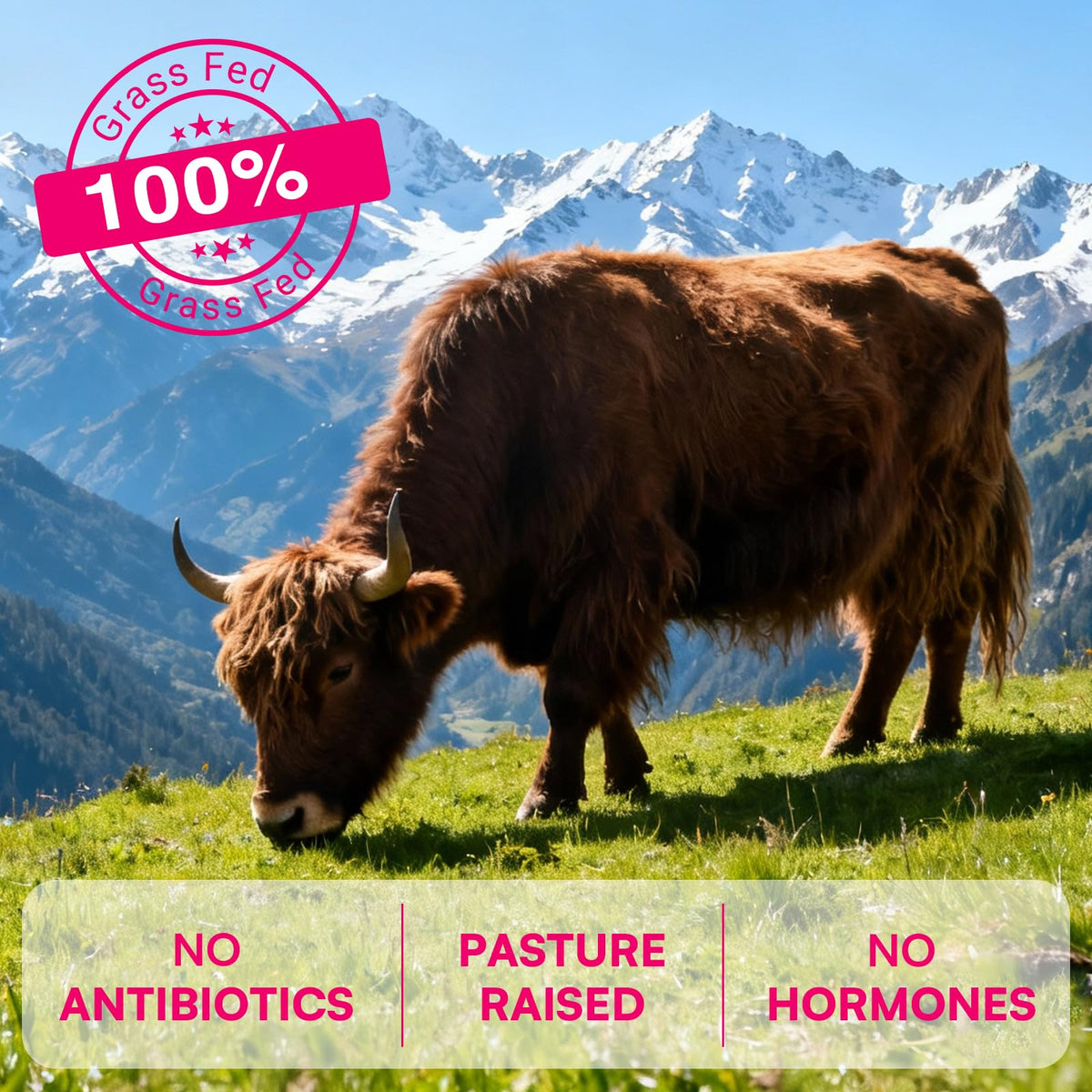 12-In-1 Beef Organ Supplement for Women - Beef Liver, Uterus, Kidney, Heart, Pancreas, 5 Vitamins & 2 Herbs, Hormone Balance, Menstruation, Energy, Immune - 100% Grass Fed, Pasture Raise - 120 Caps NassiouyBuy Supplements Australia