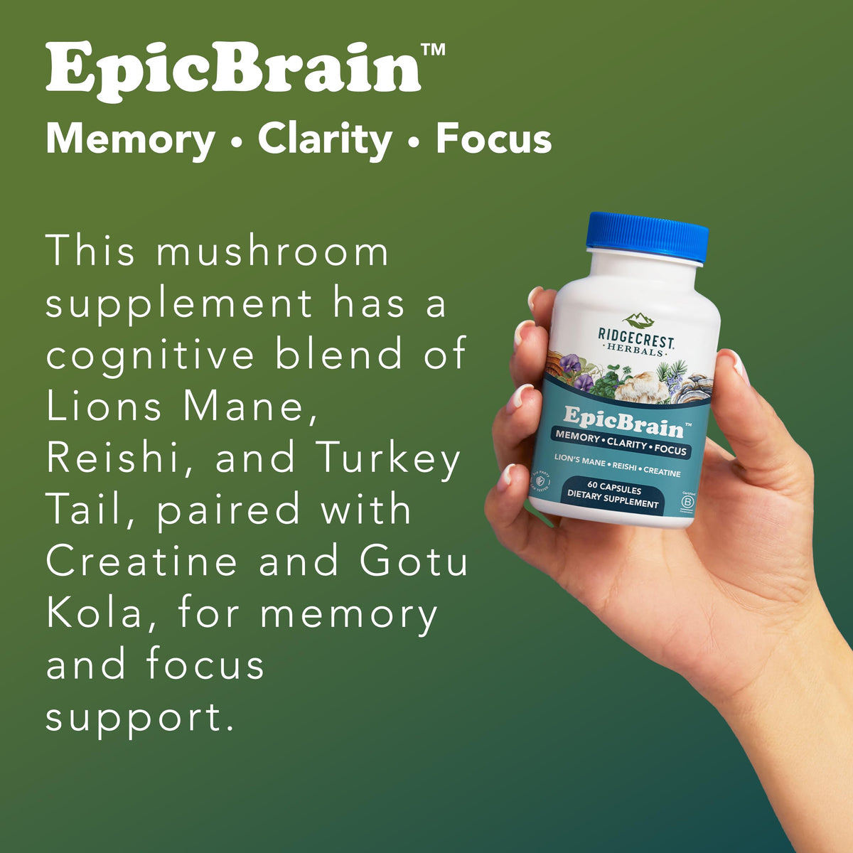 RidgeCrest Herbals EpicBrain, Natural Brain Support Supplement with Creatine Monohydrate, Lion's Mane, Reishi, Supports Mental Clarity, Memory, Focus, Stimulant-Free Nootropic (60 Count, 30 Servings) RidgeCrest HerbalsBuy Supplements Australia