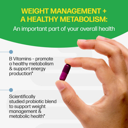 Culturelle Metabolism + Weight Management with SlimBiotics® Probiotic Capsules – 30 Count – Helps Safely Manage Weight - Promotes Healthy Metabolism and Physical & Mental Energy Culturelle buy supplements Au