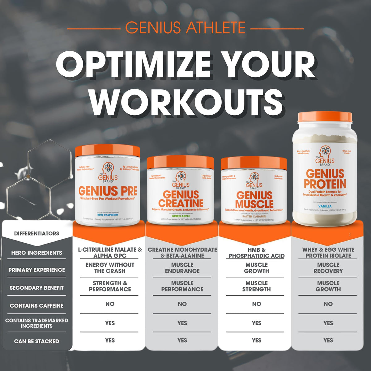 Genius Pre Workout Powder, Blue Raspberry - All-Natural Nootropic Pre-workout & Caffeine The Genius BrandBuy Supplements Australia