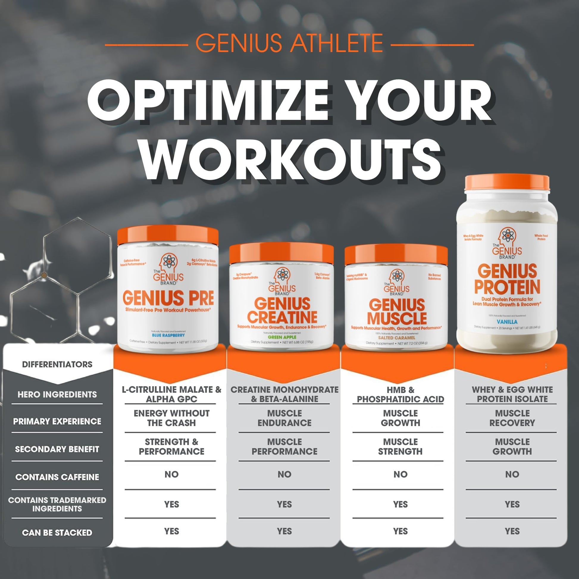 Genius Pre Workout Powder, Blue Razz, and Genius Micronized Creatine Monohydrate Powder, Unflavored, All Natural Nootropic Pre Workout and Post Workout Supplement Stack