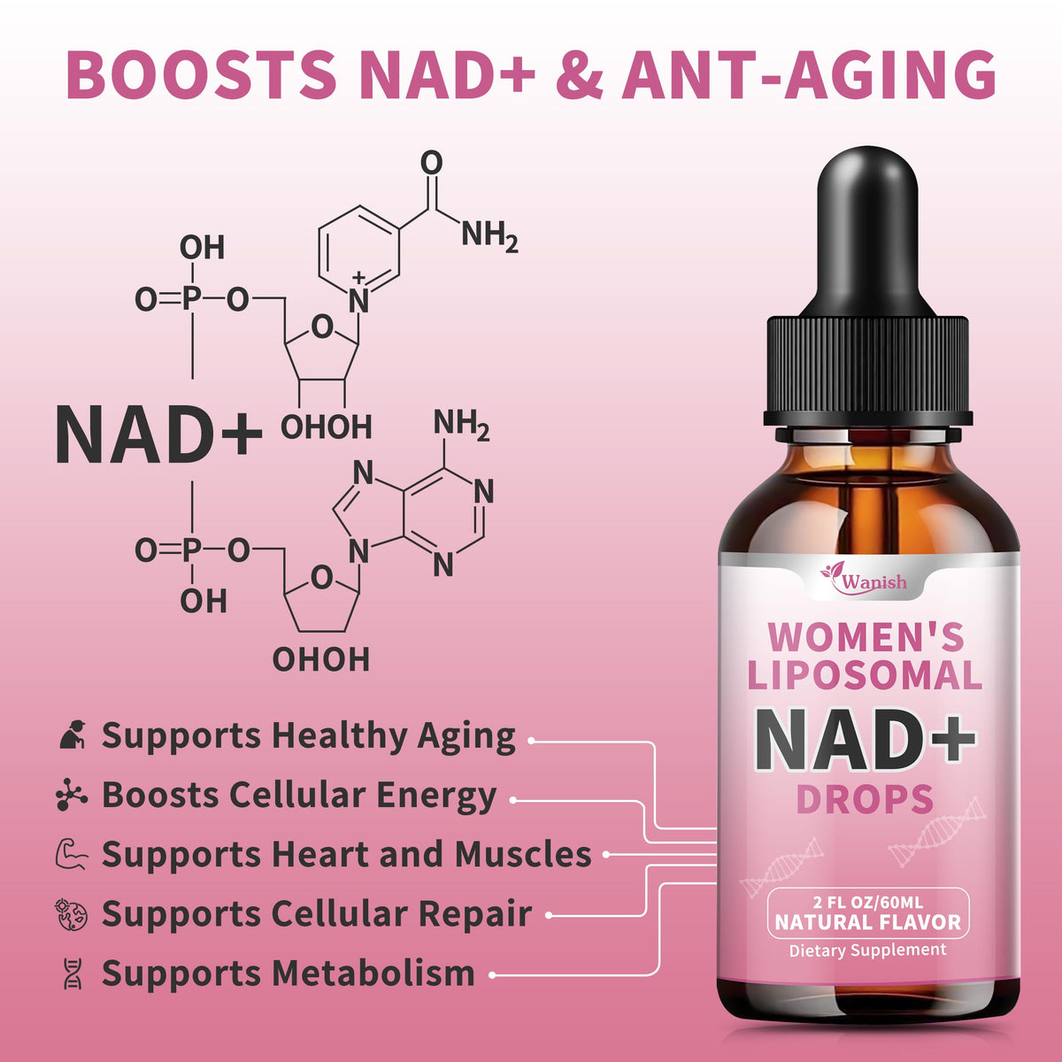 Liposomal NAD Liquid Supplement for Women, Pure 500mg NAD Nicotinamide - Cell Regeneration，Energy & Metabolism Support, Vegan,Sugar Free，Additives Free，2 Fl Oz WanishBuy Supplements Australia