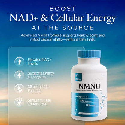 Prime Powders NMNH: Dihydronicotinamide Mononucleotide (120 Capsules) NAD+ Support NR NAD Supplement Prime PowdersBuy Supplements Australia