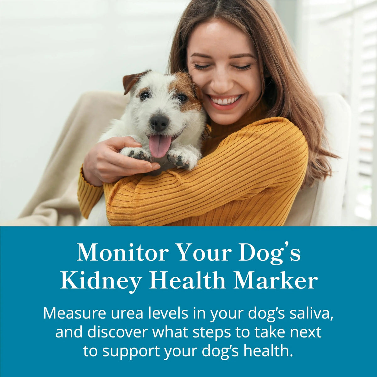 Petivity At-Home Kidney Health Test Kit for Dogs — Quick Saliva Urea Test (2-Minute Home Check), Powered by Purina — Help Detect Early Kidney Changes - (Pack of 3) petivityBuy Supplements Australia