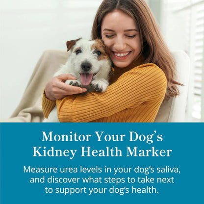 Petivity At-Home Kidney Health Test Kit for Dogs — Quick Saliva Urea Test (2-Minute Home Check), Powered by Purina — Help Detect Early Kidney Changes - (Pack of 3) petivityBuy Supplements Australia