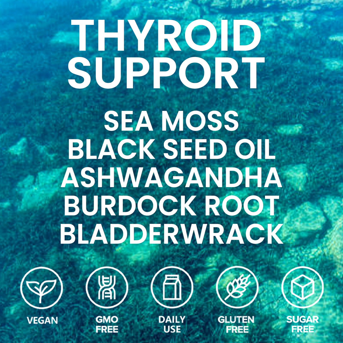 Velestoff Irish Seamoss Thyroid Hormone Regulator, Velestoff Thyroid Support Drops | Sea Moss, Black Seed Oil, Ashwagandha, Burdock Root, Bladderwrack, Hormone Balance & Support - 2 FL.OZ (1 Pcs) Velestoff buy supplements Au