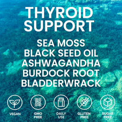 Velestoff Irish Seamoss Thyroid Hormone Regulator, Velestoff Thyroid Support Drops | Sea Moss, Black Seed Oil, Ashwagandha, Burdock Root, Bladderwrack, Hormone Balance & Support - 2 FL.OZ (1 Pcs) Velestoff buy supplements Au