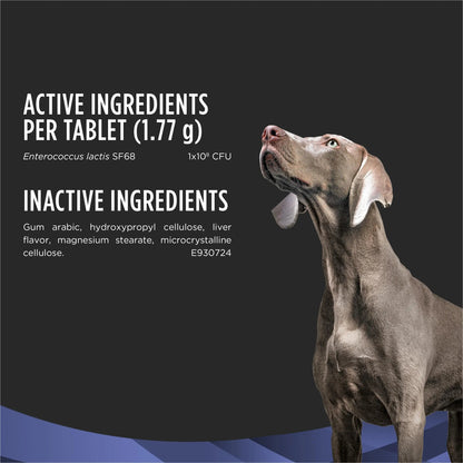 Purina Pro Plan Veterinary Supplements FortiFlora Daily Probiotics for Dogs Chewable Tablets for Digestive Gut Health and Diarrhea - 90 ct. Canister Pro Plan Veterinary DietsBuy Supplements Australia
