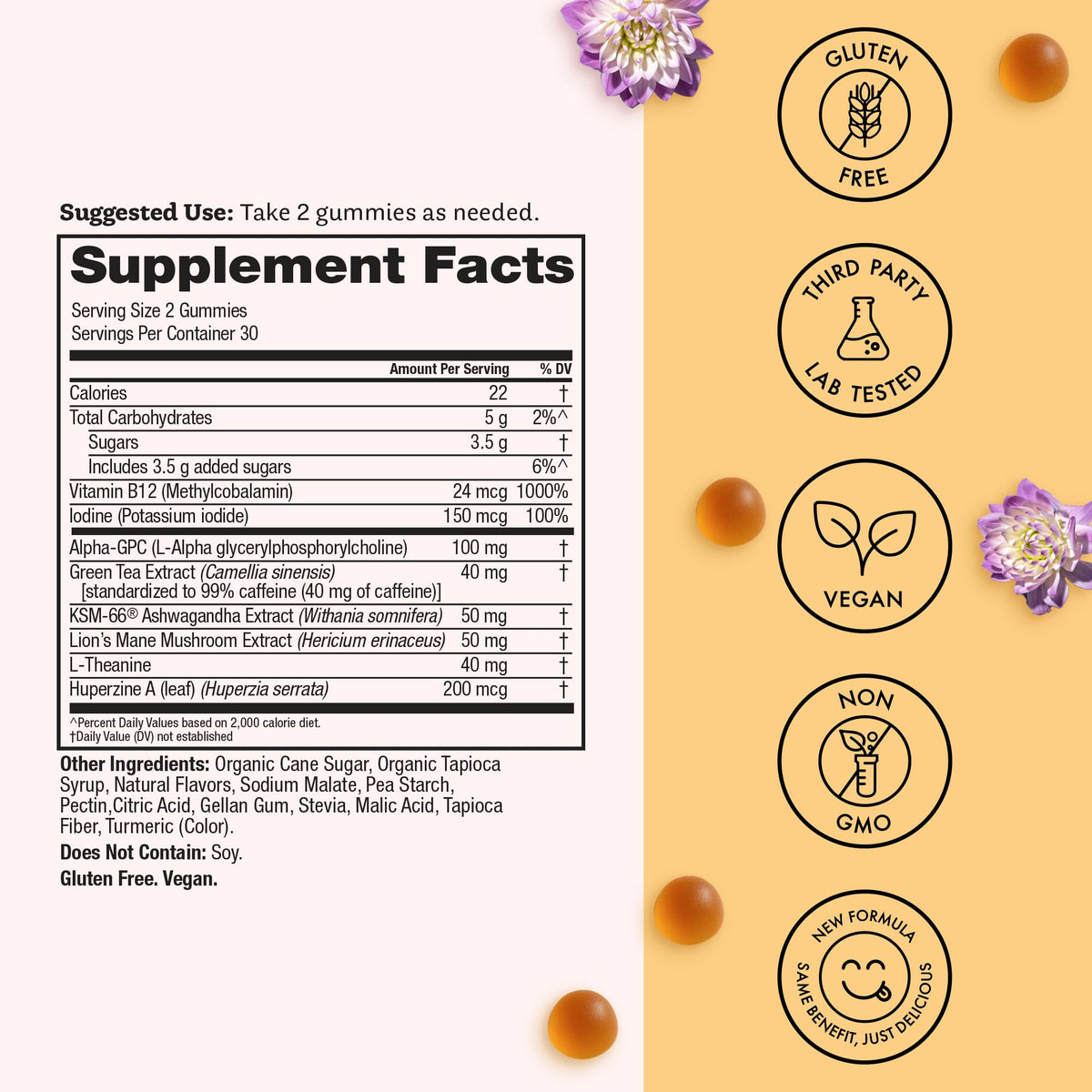 Winged Wellness Rise Up, Energy & Focus Gummies for Women - Daily Brain Boost Gummy Supplement with Natural Caffeine, Ashwagandha, B12, Nootropics Alpha-GPC & Lion’s Mane - Pineapple, 60 Gummies Winged WellnessBuy Supplements Australia