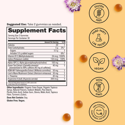Winged Wellness Rise Up, Energy & Focus Gummies for Women - Daily Brain Boost Gummy Supplement with Natural Caffeine, Ashwagandha, B12, Nootropics Alpha-GPC & Lion’s Mane - Pineapple, 60 Gummies Winged WellnessBuy Supplements Australia