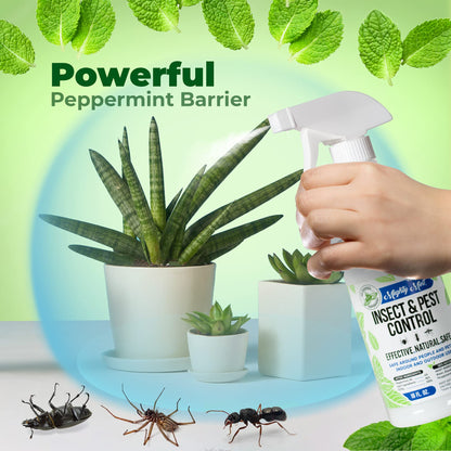 Mighty Mint 16 oz Peppermint Oil Insect & Pest Spray - for Spiders, Ants Mighty MintBuy Supplements Australia