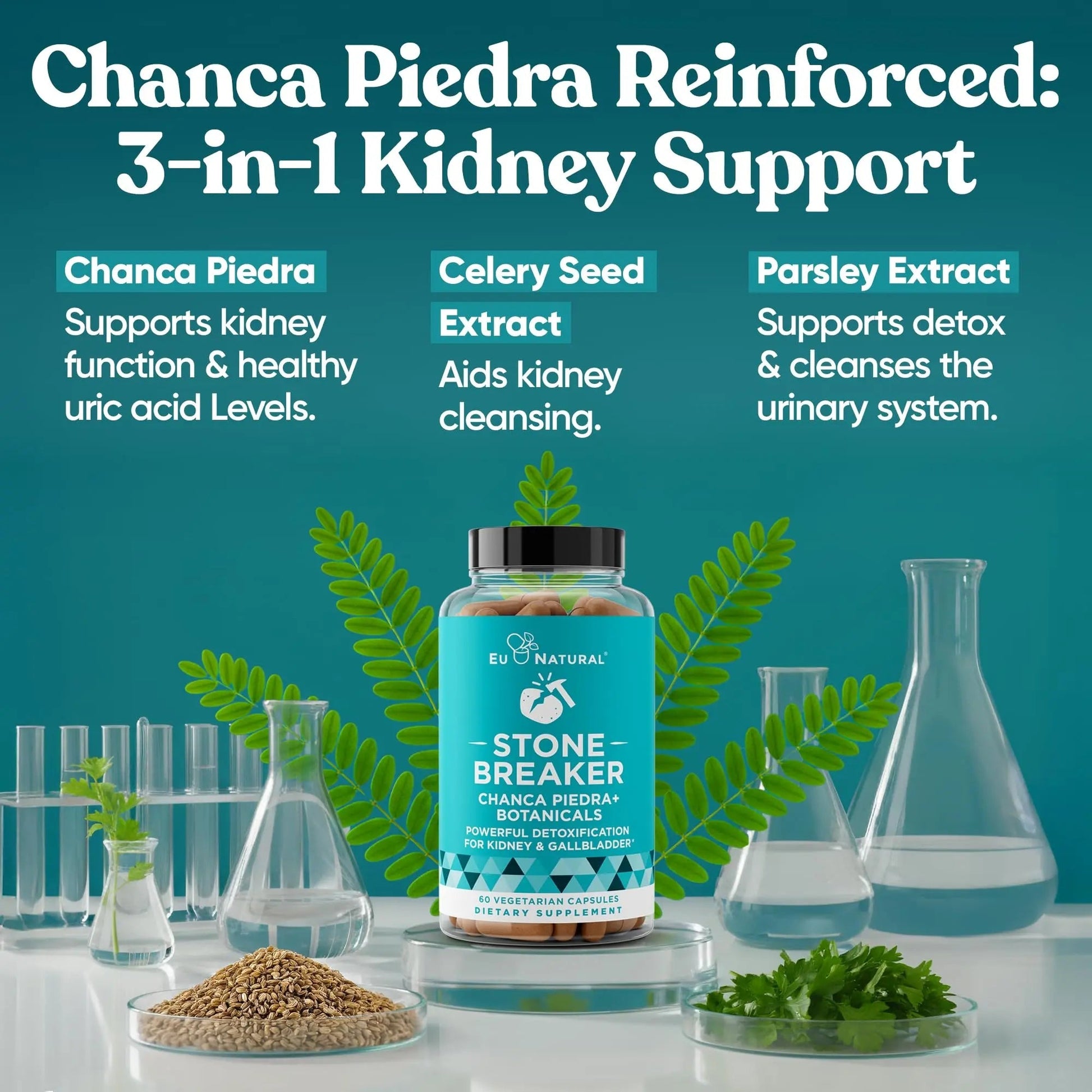Chanca Piedra Stone Breaker - The Original Stone Breaking Formula with Celery Seed & Parsley - Supports Kidney, Gallbladder & Urinary Tract Cleansing to Help Flush Impurities - 60 Vegetarian Capsules Eu NaturalBuy Supplements Australia
