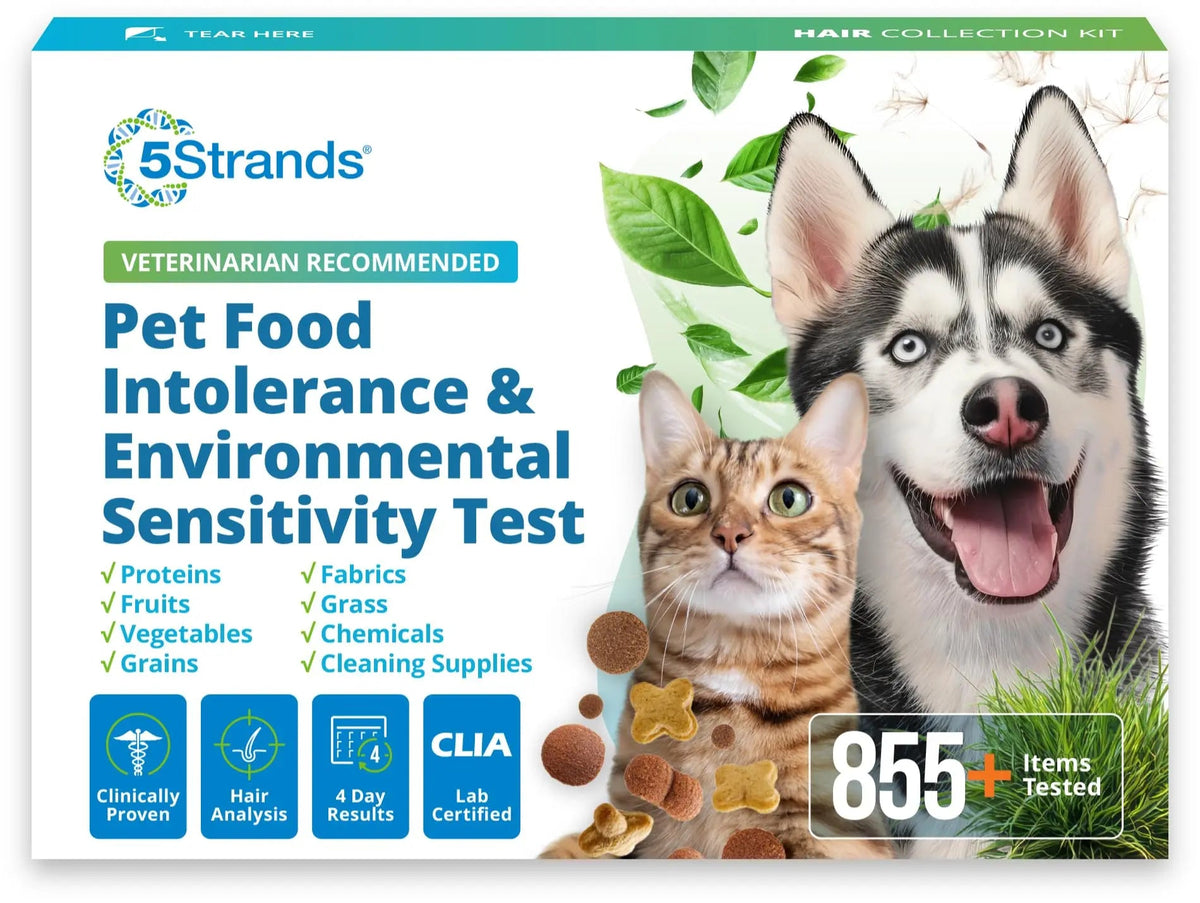 5Strands Pet Food Intolerance & Environmental Sensitivity Test, at Home Gut Health Test for Dogs & Cats, 857 Items Tested, Pet Health Check, Results in 4 Days, for All Ages and Breeds 5StrandsBuy Supplements Australia