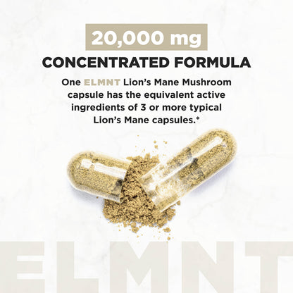 20,000mg 16x Strength Lions Mane Supplement Capsules Super Nootropic w. Ashwagandha & Rhodiola - Highest Potency Lion's Mane Mushroom Extract 50% Polysaccharides Brain Supplements for Memory and Focus TERRA ELMNTBuy Supplements Australia