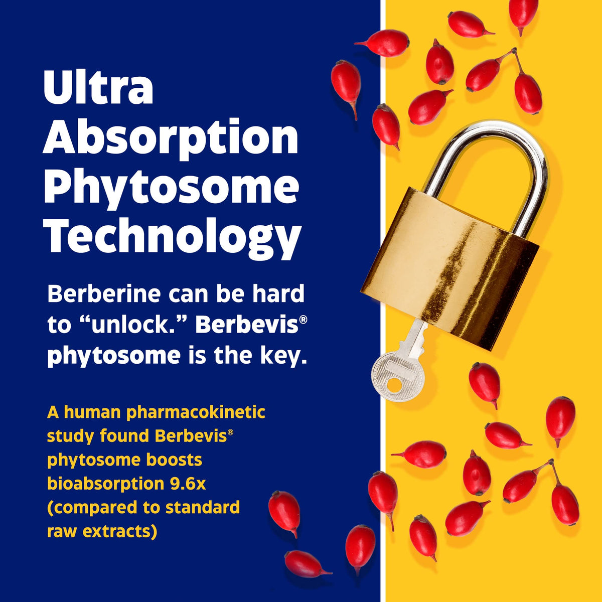 Enzymedica, Berberine Phytosome EnzymedicaBuy Supplements Australia