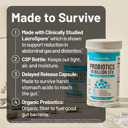 NatureWise Probiotics 70 Billion CFU - 17 Strains + Organic Prebiotics - Immune, Digestive & Gut Health Support for Women & Men - Vegetarian, Gluten-Free, Non-GMO - 30 Capsules[1-Month Supply] NatureWiseBuy Supplements Australia