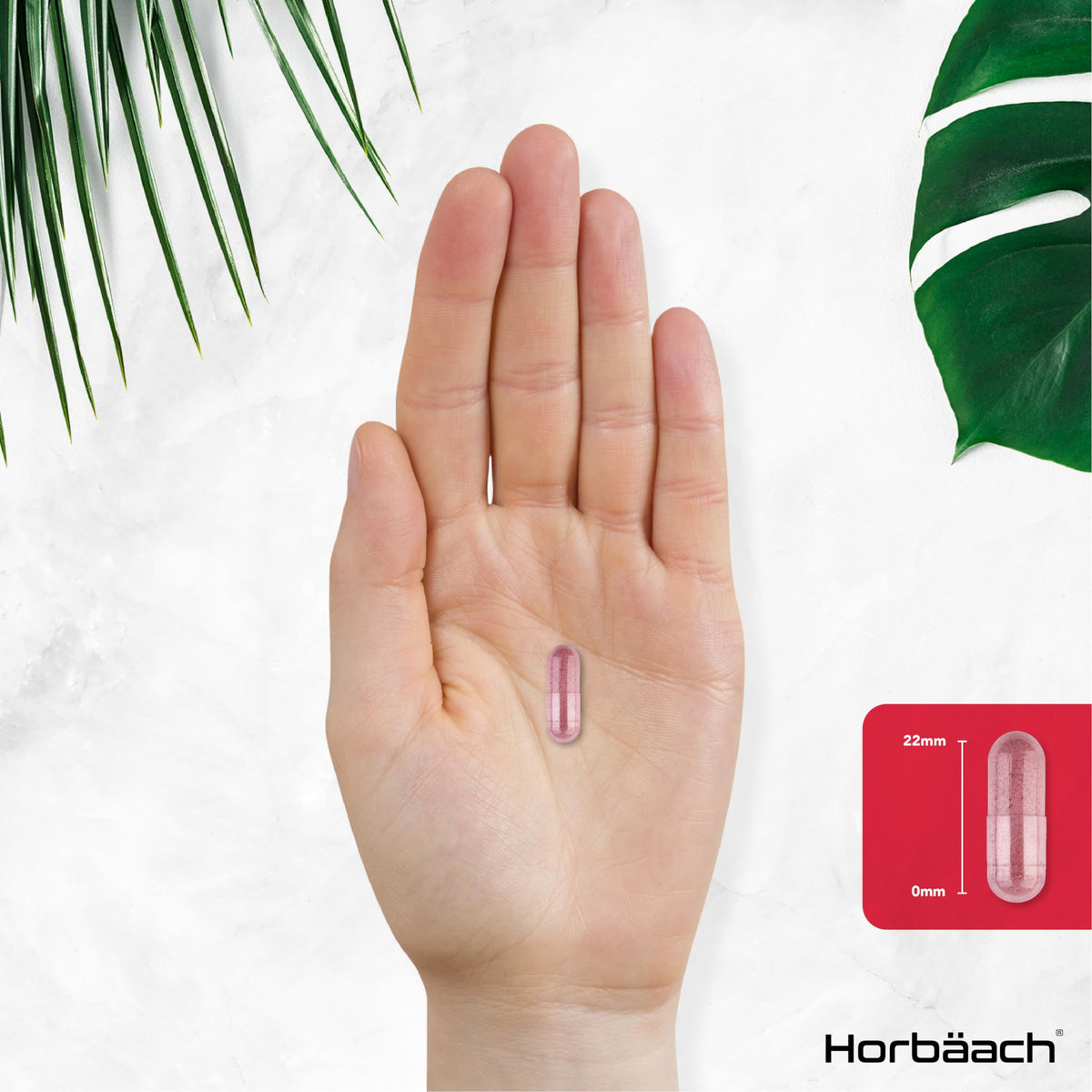 Cranberry Capsules 45,000 mg | High Strength Cranberry Extract with Vitamin C HorbäachBuy Supplements Australia