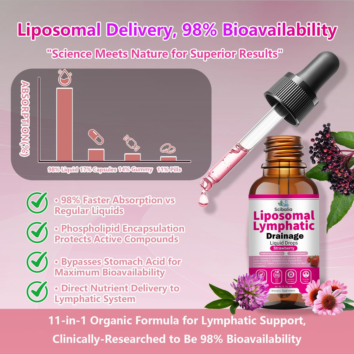 Scibalia Liposomal Lymphatic Drainage Drops, 11-in-1 Organic Lymphatic Support with Red Clover Echinacea Elderberry Burdock Root for Lymph Cleanse Immune Support & Daily Detox Vegan Non-GMO Scibalia buy supplements Au