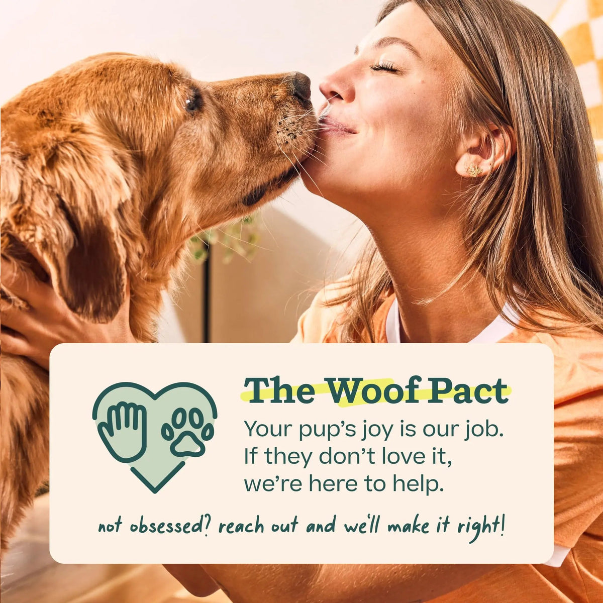 Woof Doggy Dental Pupsicle Mix - Dog Teeth Cleaning Powder for The Pupsicle - Long Lasting Postbiotic Dental Enzyme Mix to Support Oral Health for Dogs WOOFBuy Supplements Australia