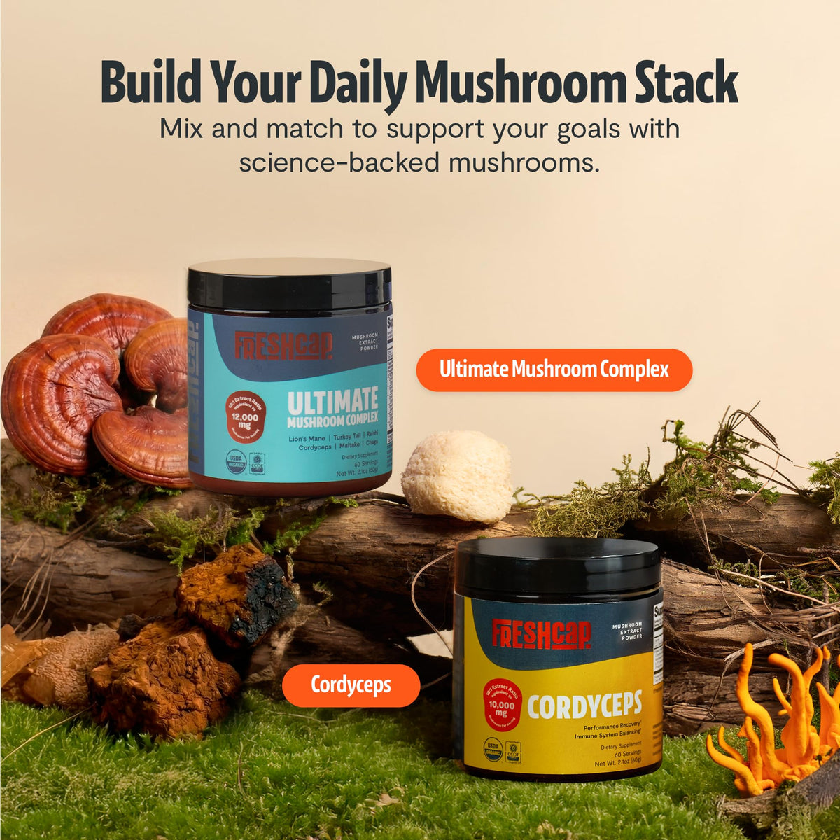 FreshCap Mushrooms Ultimate Mushroom Supplement Powder 12,000mg - Nootropic Organic Mushroom Complex for Focus & Memory, Brain Support Supplement, Ayurveda Mushroom Powder Extract (60 Servings) FreshCap MushroomsBuy Supplements Australia
