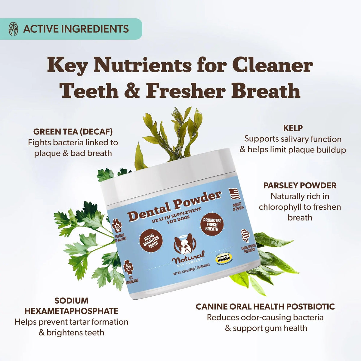 Natural Dog Company Dental Powder for Dogs – Freshens Breath & Helps Reduce Plaque & Tartar, Natural No-Brushing Canine Oral Health Postbiotic Supplement, Vet Formulated, Made in USA, 30-Day Supply Natural Dog CompanyBuy Supplements Australia