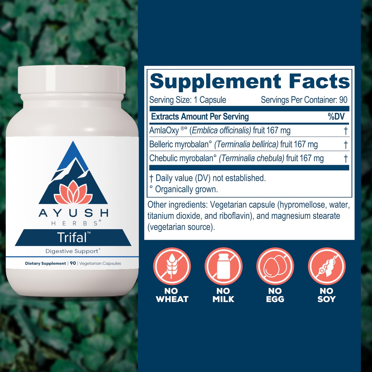 Ayush Herbs Trifal Digestive Support with Amla - Triphala Supplement for Women & Men, Promotes Balanced Digestion, Antioxidant Rich, Made with Organic Ingredients - 90 Vegetarian Capsules (1 Count) Ayush HerbsBuy Supplements Australia